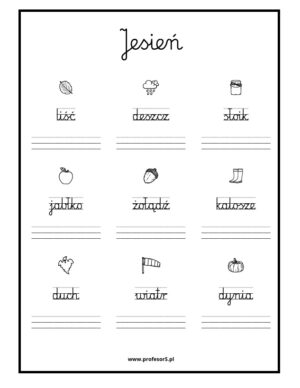 Podpisywanie - przepisywanie (20 stron) pdf